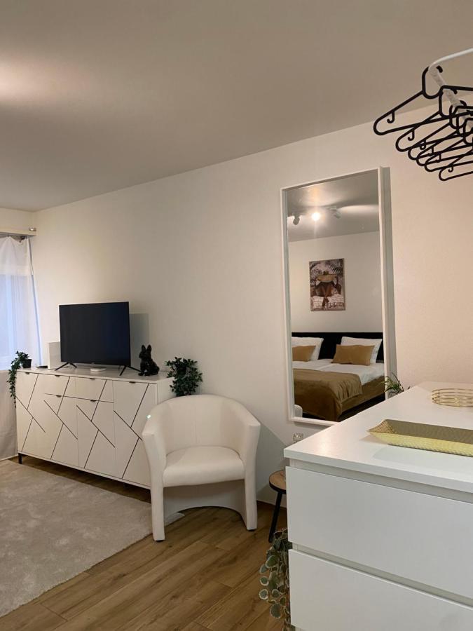 Eine Schoene Wohnung Am Messeplatz Базел Екстериор снимка
